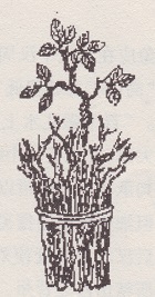 tu2